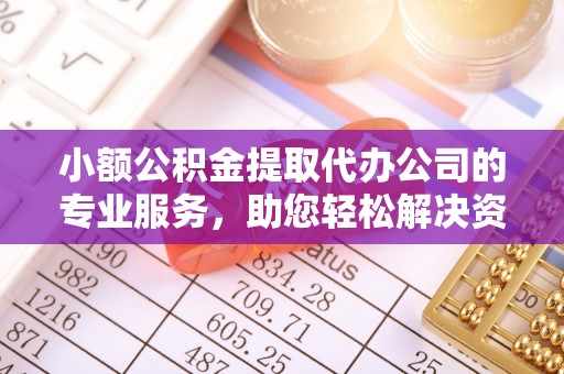 内湖小额公积金提取代办公司的专业服务，助您轻松解决资金难题
