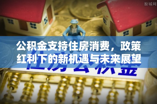 新昌公积金支持住房消费，政策红利下的新机遇与未来展望