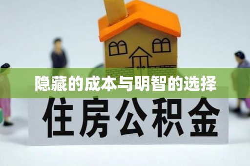 镇康隐藏的成本与明智的选择