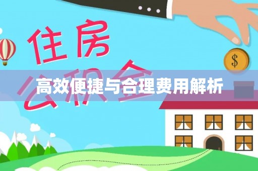 文山高效便捷与合理费用解析